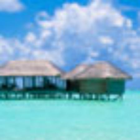 Hotel Karunaas Non Veg Restaurant